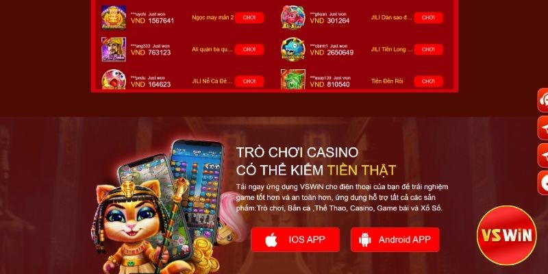 Những câu hỏi thường gặp về Vswin