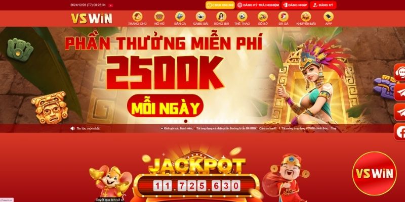 Thông tin chung về Vswin